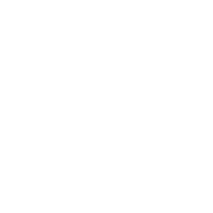 Electrical & Electronics Industry Vin Precise Punch