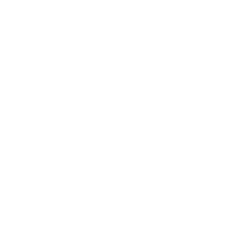 Renewable Energy & Power Sector Vin Precise Punch